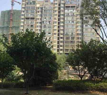 �c(di��n)���鿴������U�ͼ҈@ƽ�ӹ�ԢԔ��(x��)��Ϣ